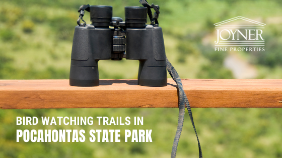 Richmond Bird Watching